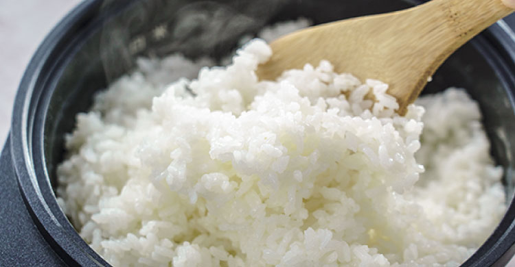 グラファイト グリル＆トースター フラッグシップモデル | 延長保証