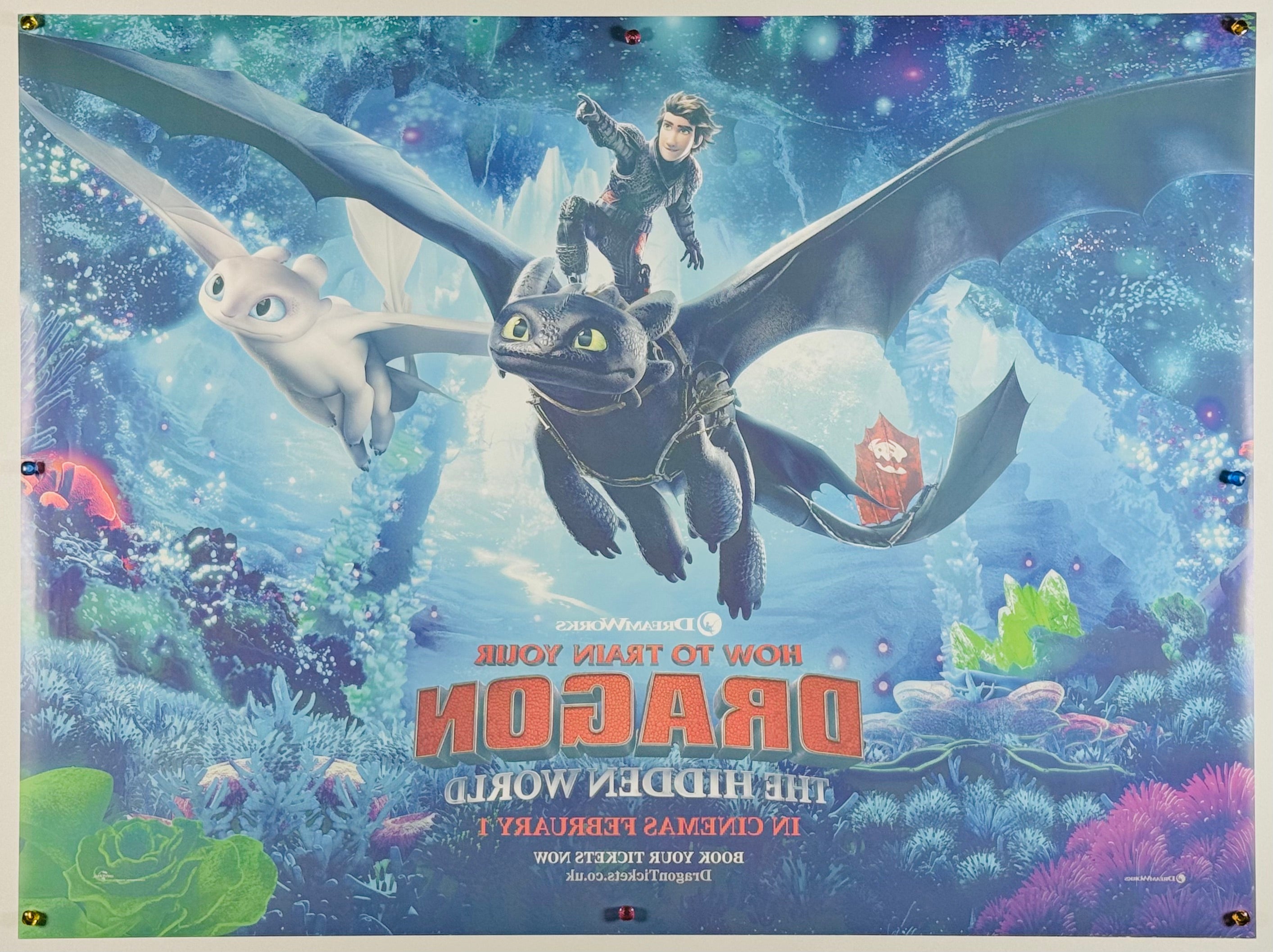 ヒックとドラゴン 聖地への冒険』 海外アニメ イギリス - 海外版映画