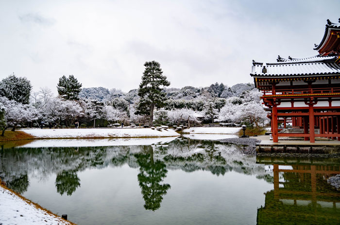 世界遺産「平等院」に雪。宇治のまちも幻想的！【京都府宇治市