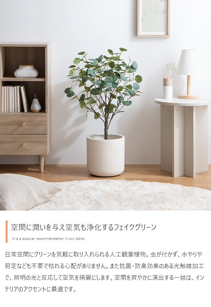 光触媒人工観葉植物 ユーカリ 高さ85cm | 【公式】allecore(アレコレ