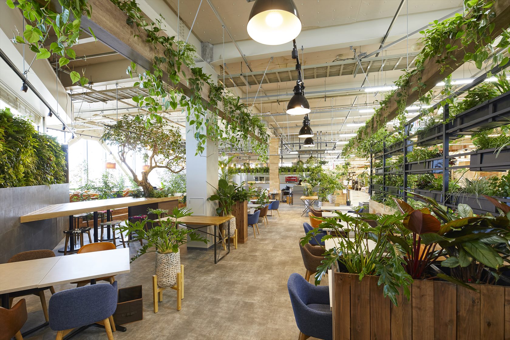 SIDE DISH CAFE 緑菜七彩 - アグログリーンプラス