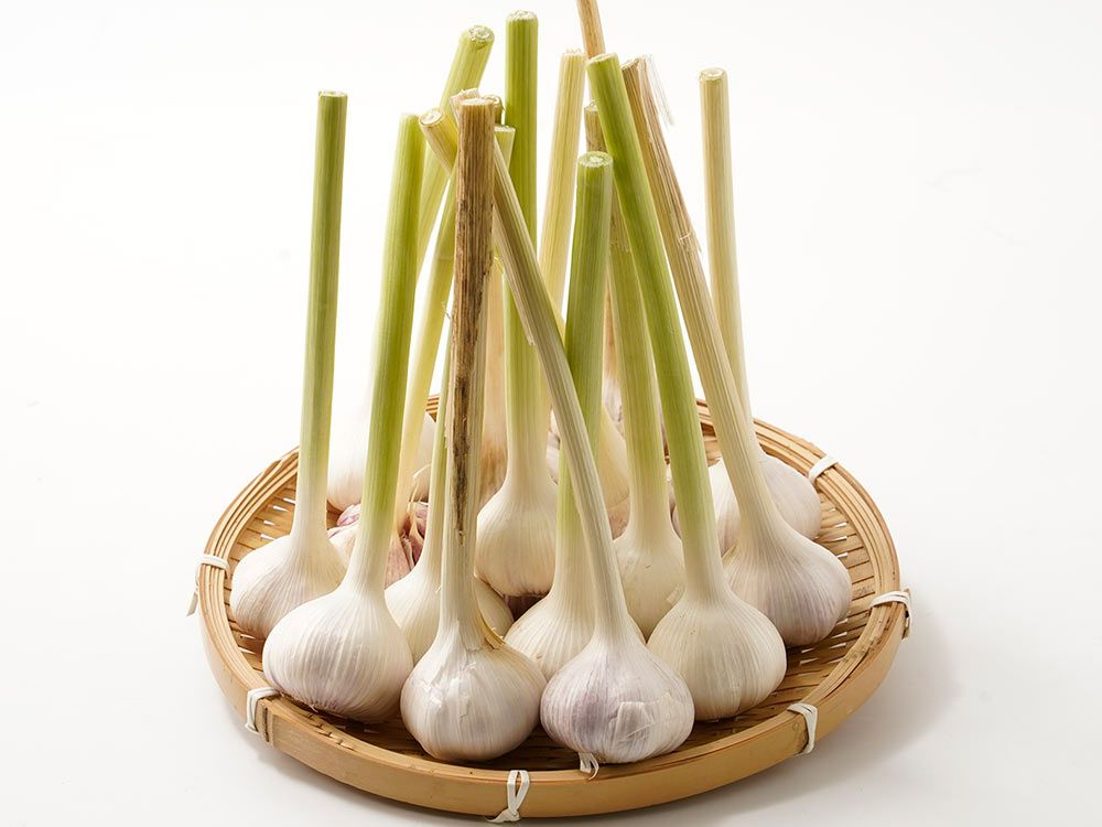 のらファーム・農薬不使用 土佐にんにく | 安心堂 食のSELECTネット