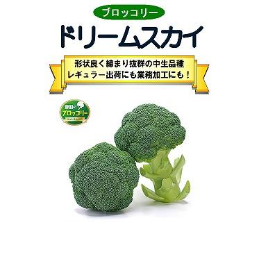 ブロッコリー】ドリームスカイ（AB-181）〔朝日アグリア0544〕 | 野菜