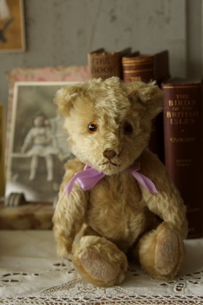 アンティークベア イギリス グラスアイ 20180718 【Antiques Truffle