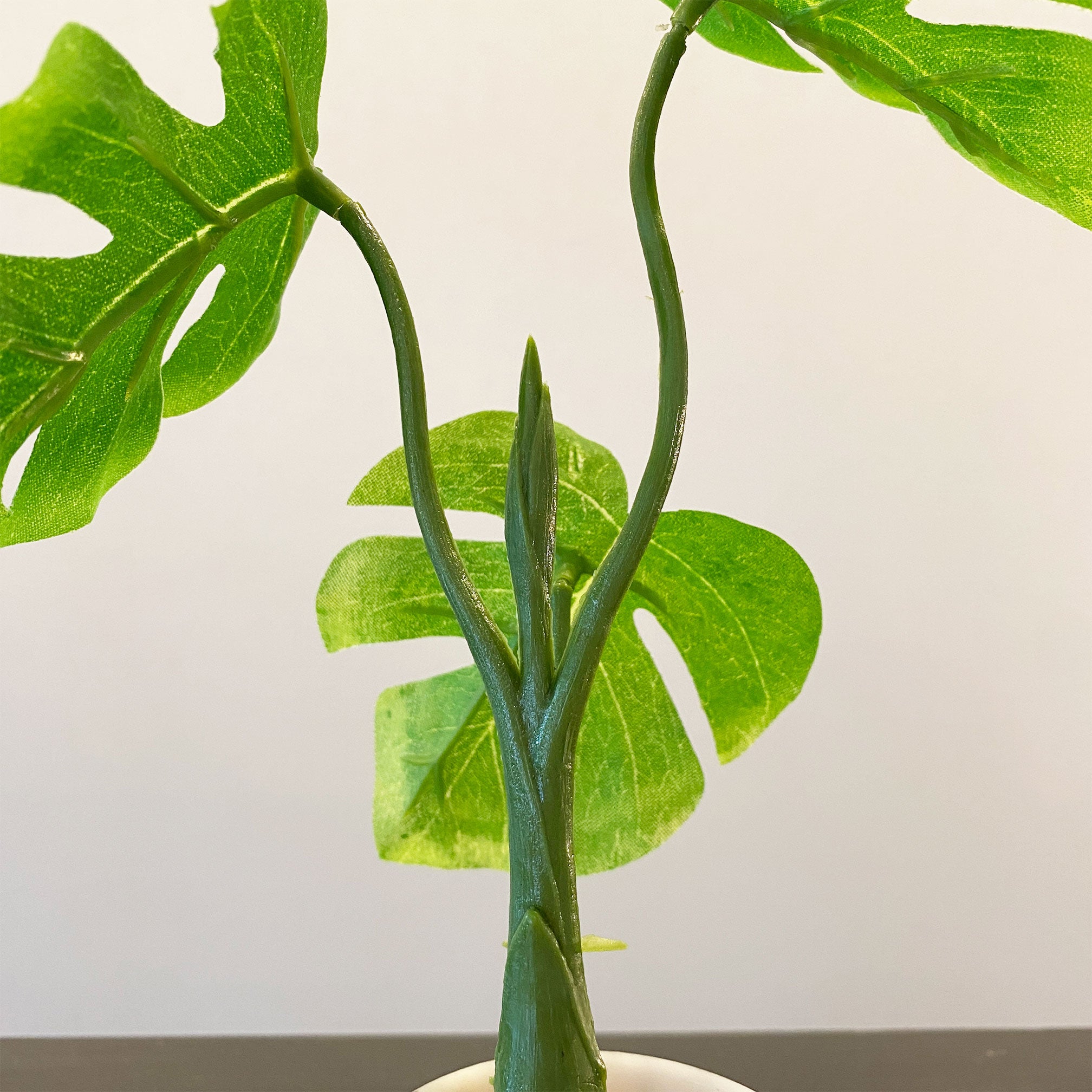 ミニモンステラ - フェイクグリーン専用通販サイト – フェイクグリーン