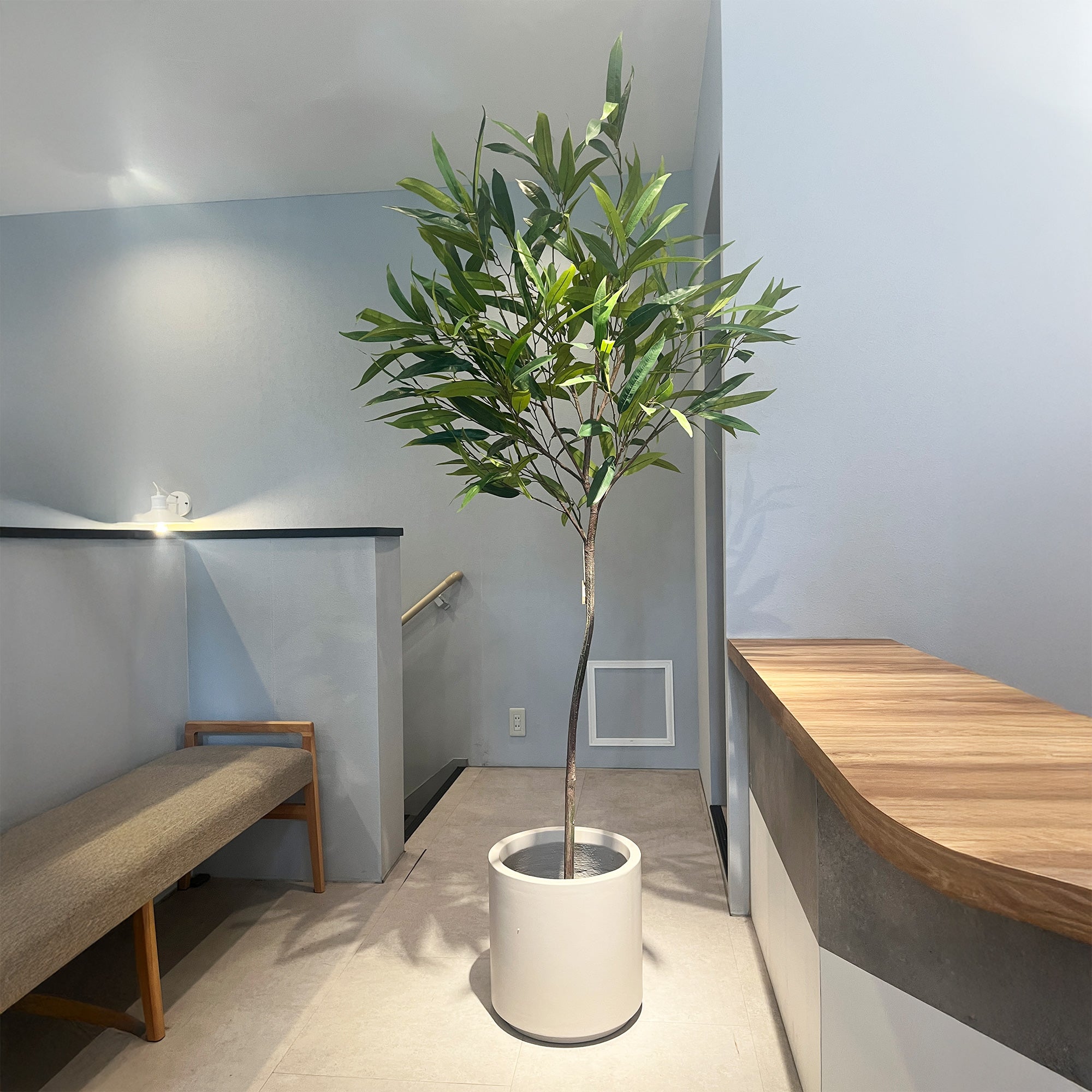 ショウナンゴム 180cm - フェイクグリーン専用通販サイト – フェイク