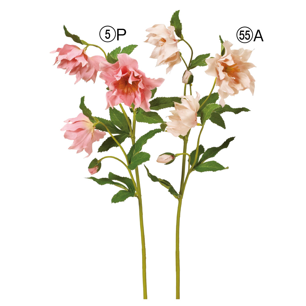 A-34759 クリスマスローズX3 つぼみX4 | アン・デコールオンライン