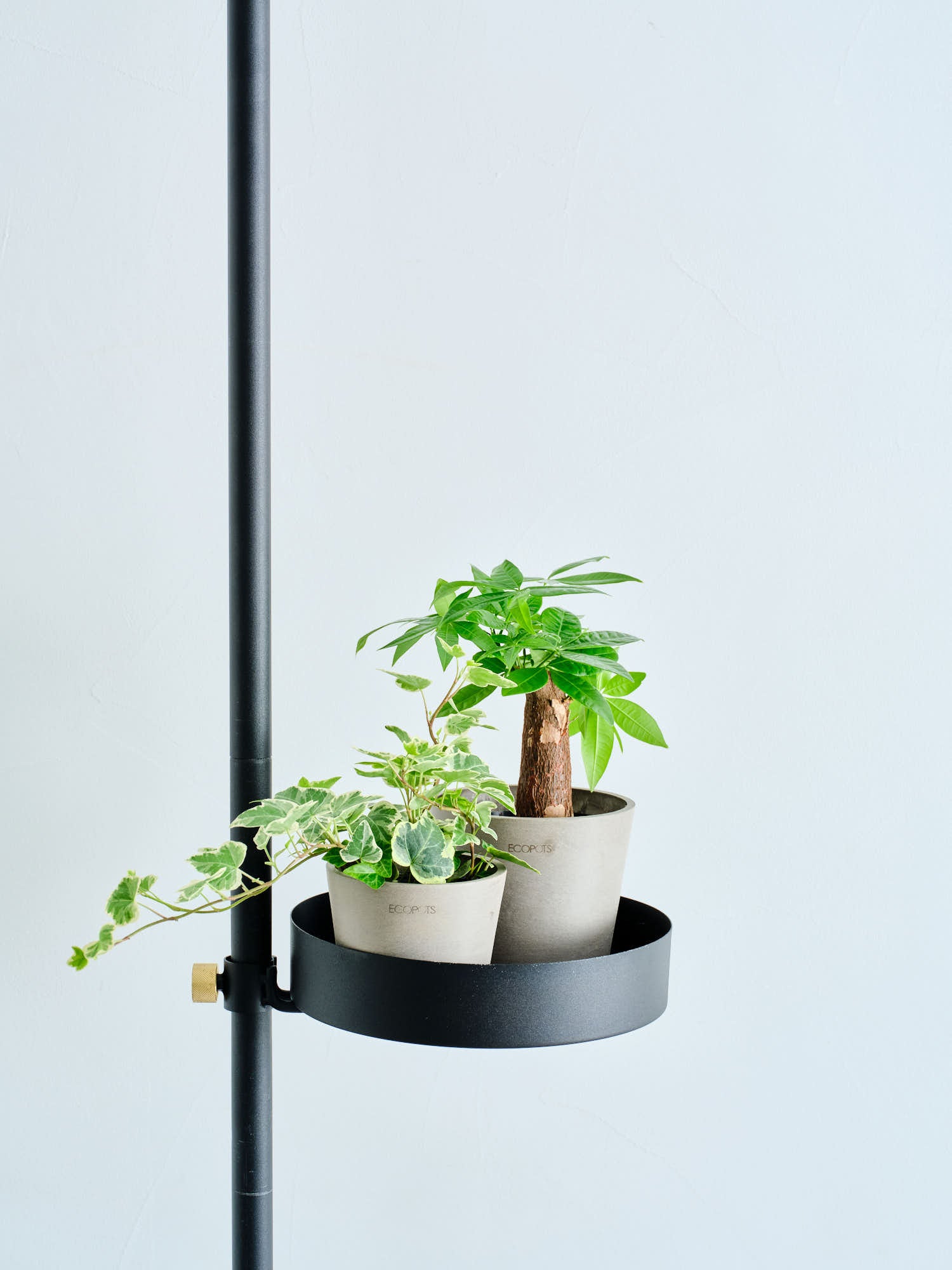 Tray DRAW A LINE | 観葉植物・お花の通販 AND PLANTS (アンドプランツ)