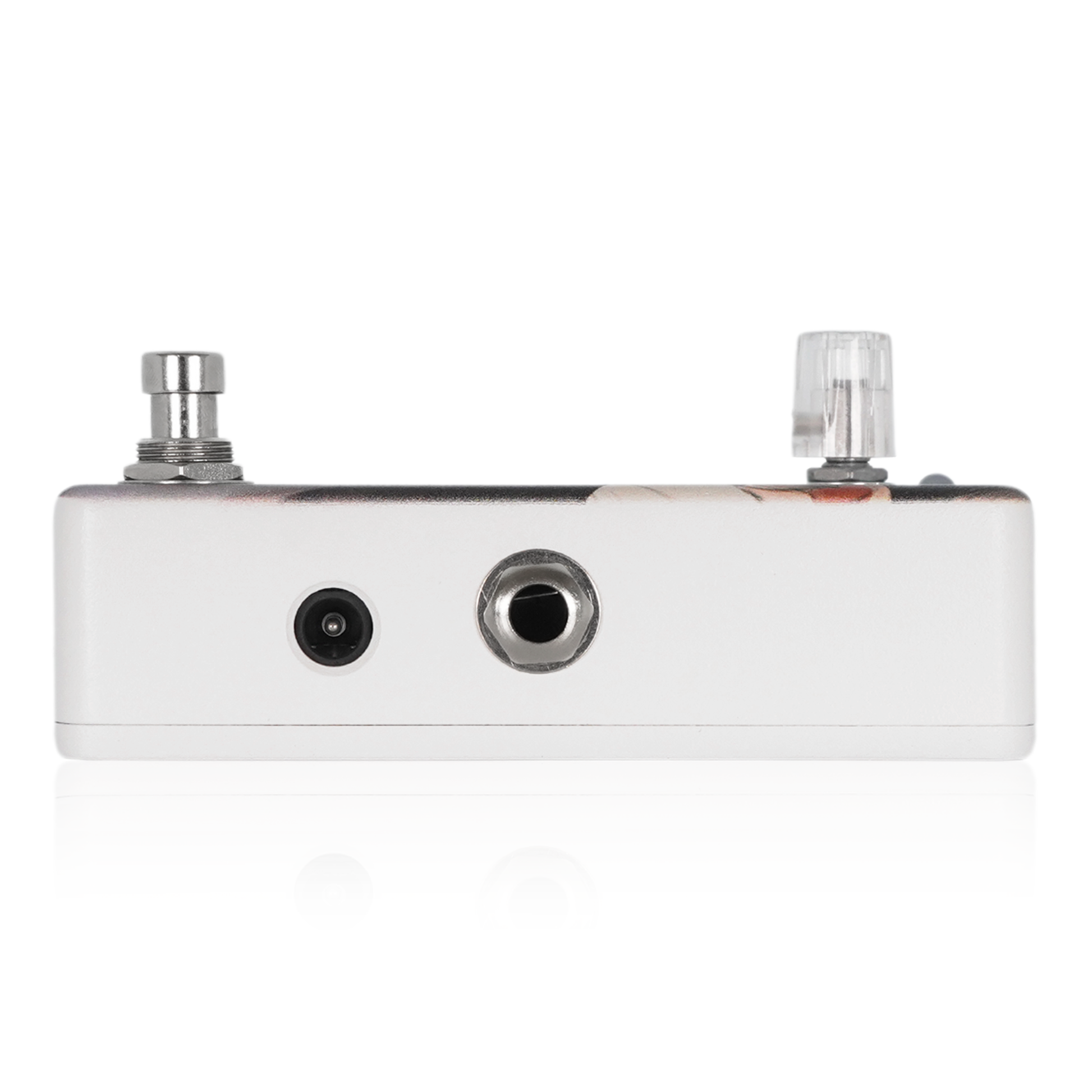 Custom Illustrated / DOMB might 日差し reprint edition – Animals