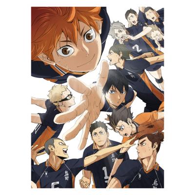 ハイキュー!! | TBS・MBSアニメ 公式オンラインストア「アニまるっ！」