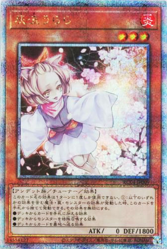 遊戯王25周年買取【レアコレ2023】25th シク（クオシク）人気