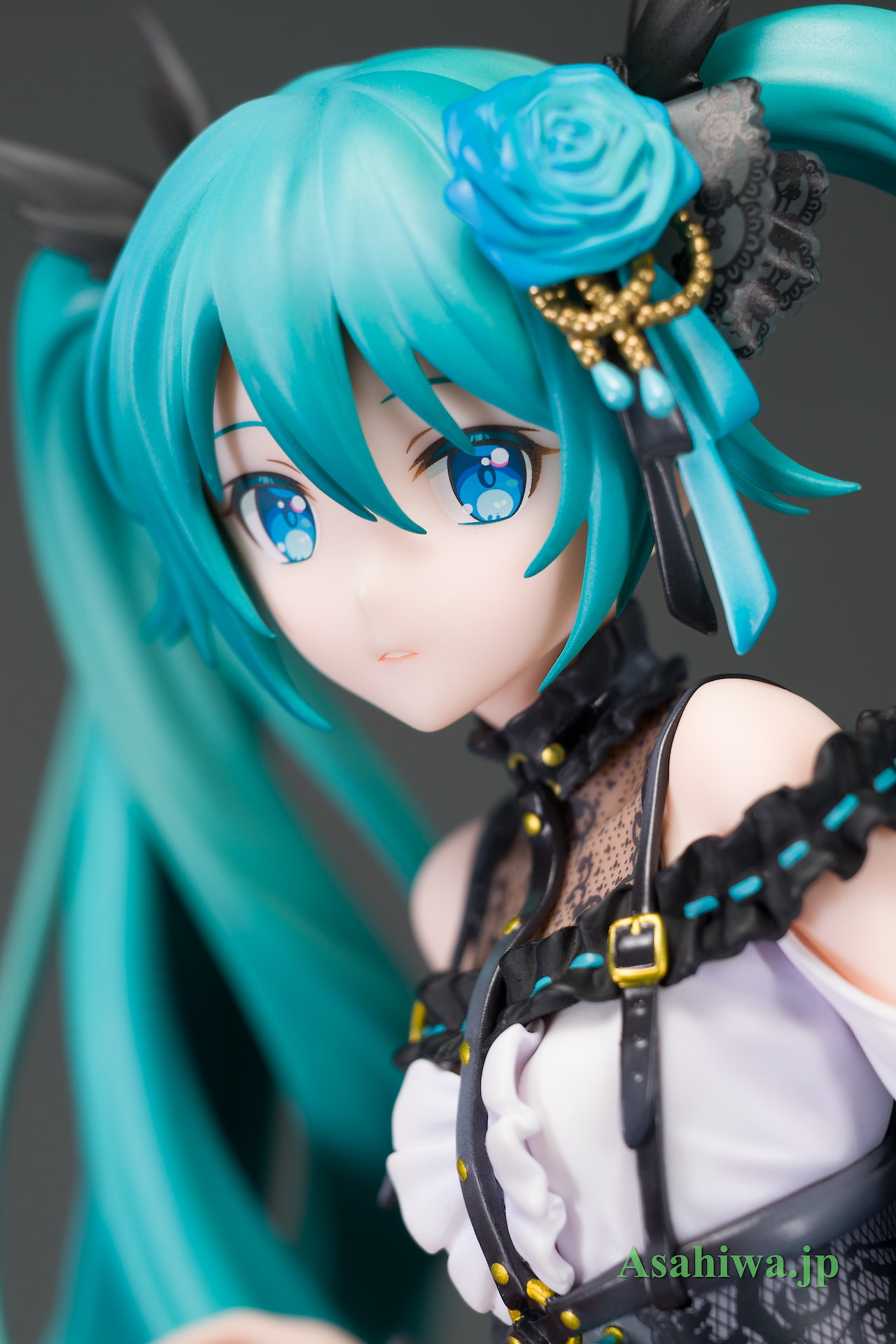 グッドスマイルカンパニー 初音ミク Rose Cage Ver. プロジェクト