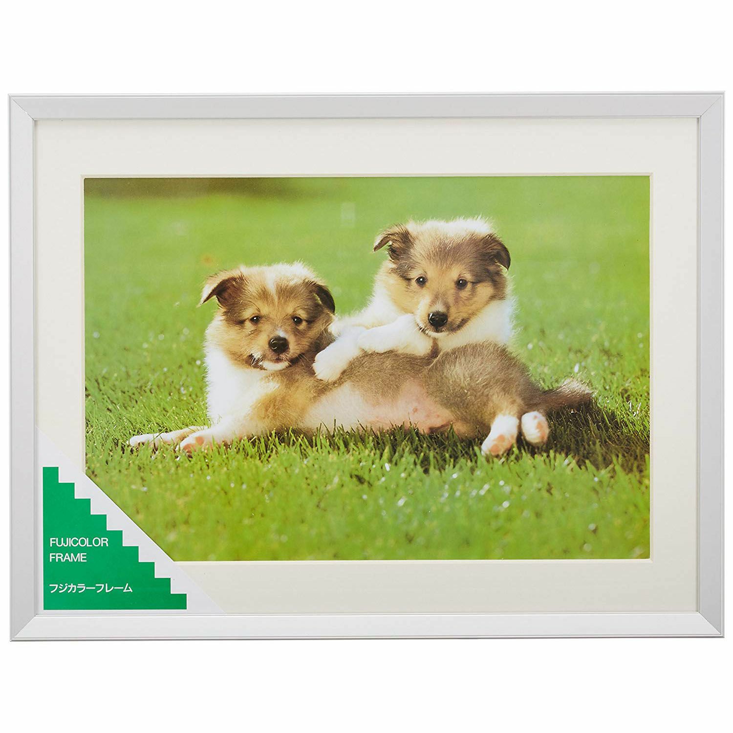 FUJICOLOR アルミ額縁 A10N ワイド4切 シルバー | アサヌマネットショップ