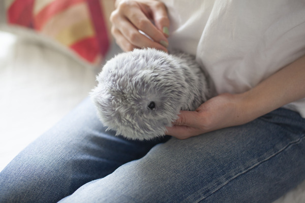 生き物的な可愛さを追求した、もふもふのAIペット「MOFLIN」 : - ASCII