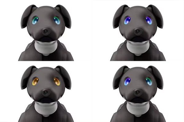 ASCII.jp： ソニー、「aibo（アイボ）」2023年カラーモデル「aibo
