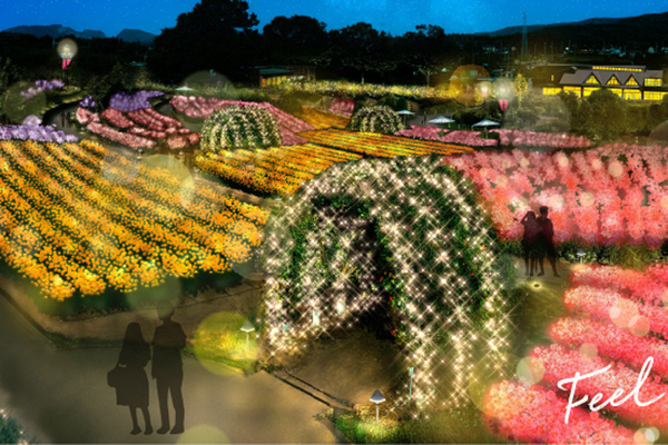 夜のバラ園を楽しめるライトアップイベント開催！ いばらきフラワー