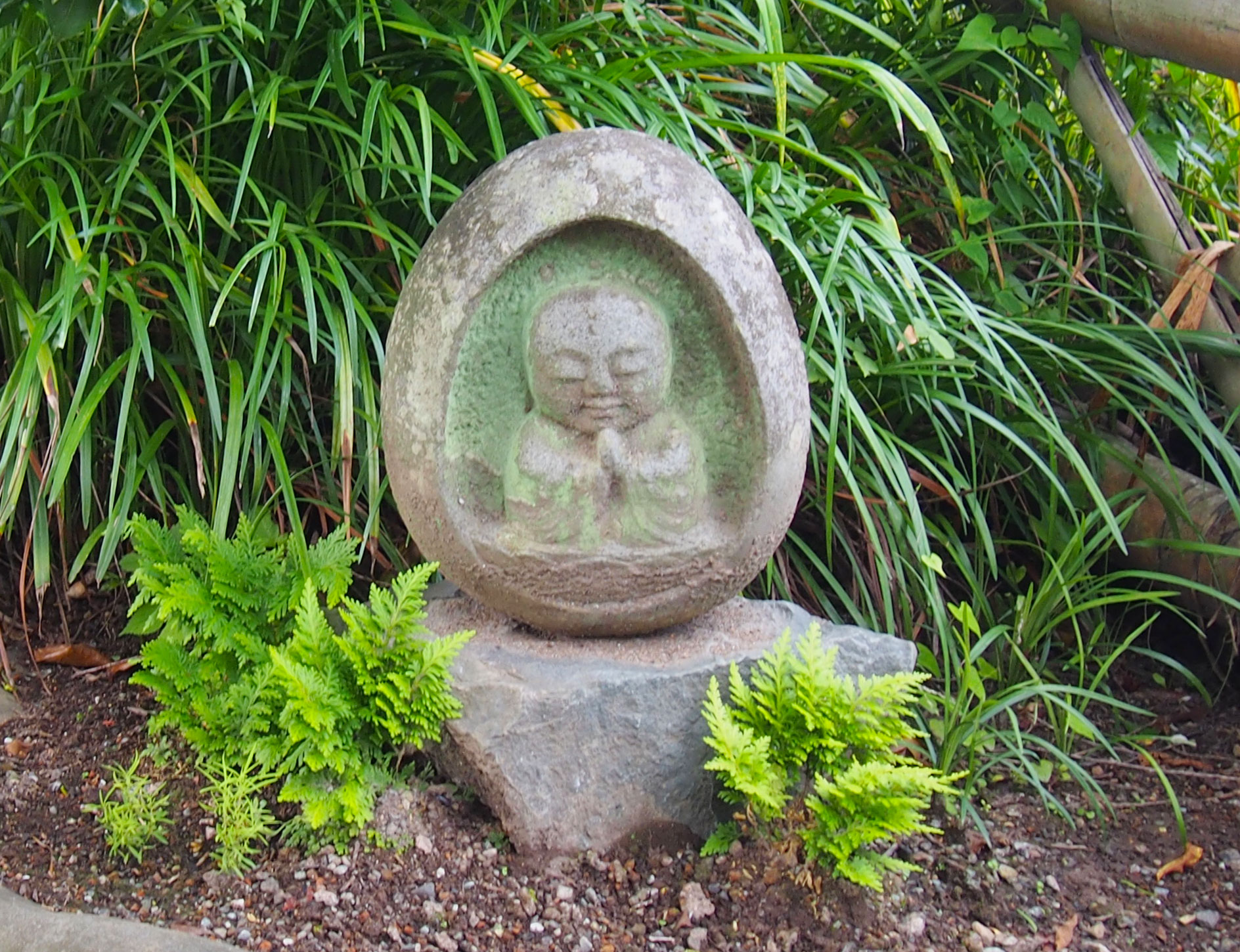 祥龍山金剛寺「わらべ地蔵さがし」に行ってきました！│アシガラッテ