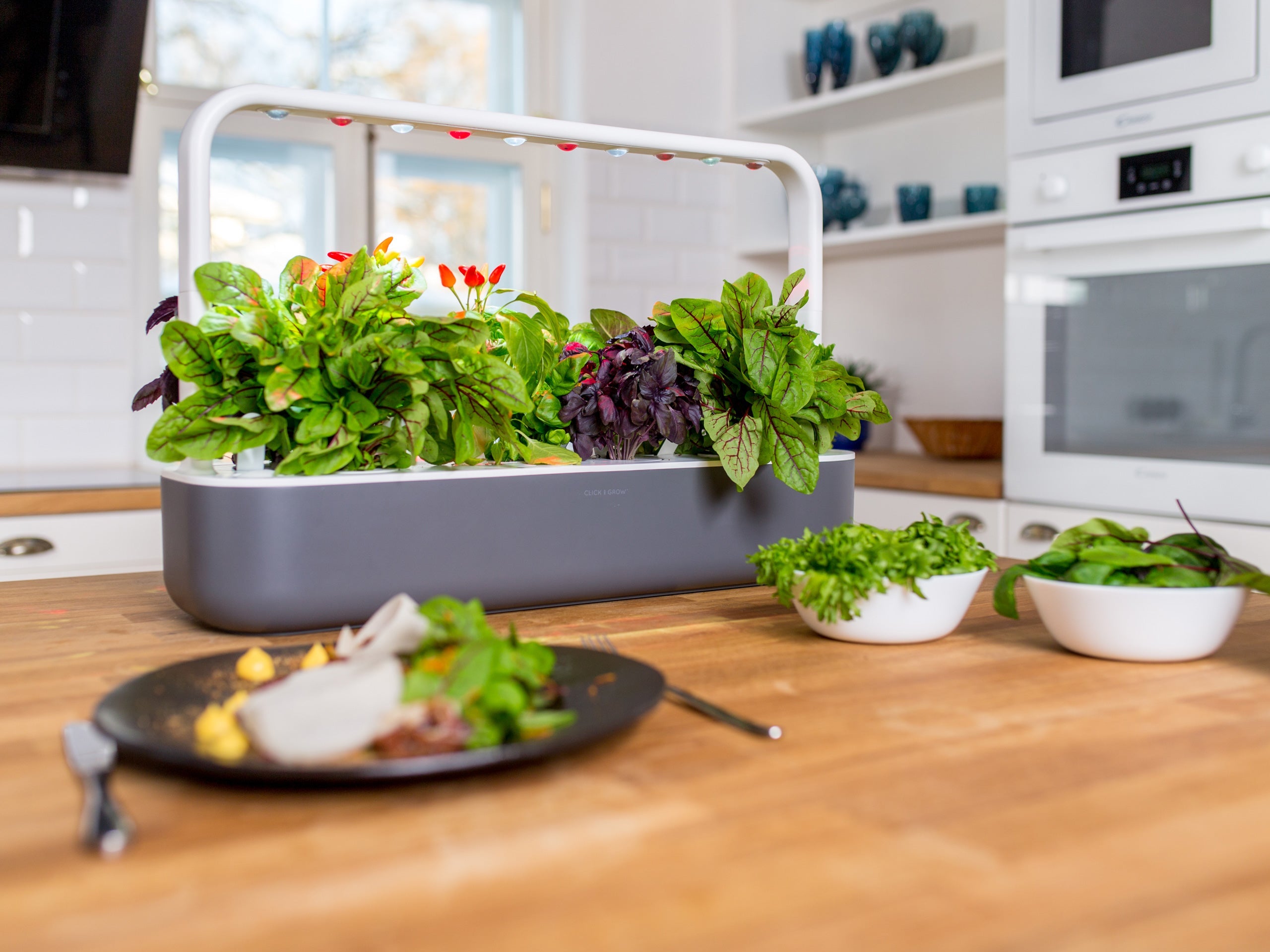 The Smart Garden 9 indoor gardening system | Click & Grow – Click