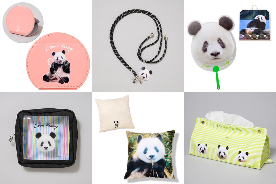 上野パンダ3きょうだいの誕生日を記念した「パンダ自身フェス