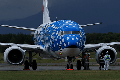 北の大地にジンベエザメのジェット機が。ボーイング 737-800型機の「新