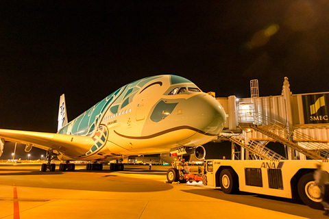 日本とハワイを笑顔で結ぶ。ANA A380型機「FLYING HONU（空飛ぶ