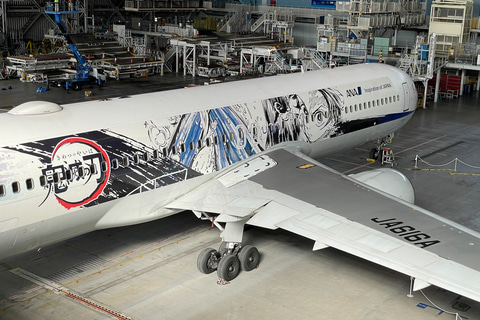 炭治郎が日輪刀で型を繰り出すANAの鬼滅の刃じぇっとが全貌公開！ 1月