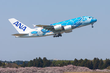 エメラルドグリーンの2号機が笑顔で成田に。ANAのエアバス A380型機