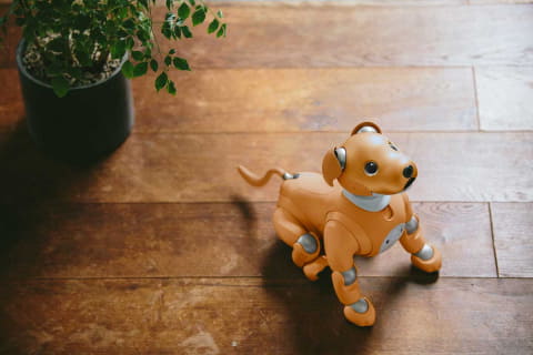 aiboの新しい仲間は「キャラメル・ブリュレ」。2020年新色 - AV Watch