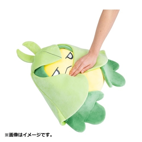 ポケモン新ぬいぐるみシリーズ「もっちりっちぬいぐるみ」発売