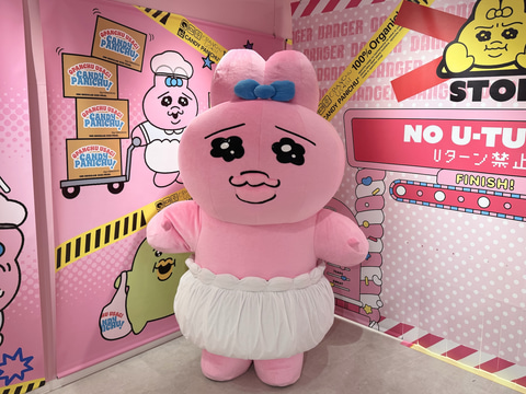働くおぱんちゅうさぎが可愛い！ 「CANDY PANICHU! POP UP SHOP」店内