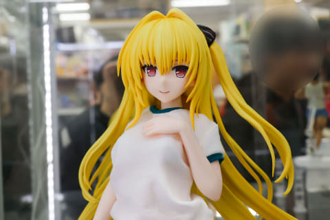 特別企画】体操着と水着のどちらも楽しめる!?「To LOVEる-とらぶる