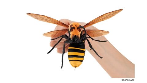 全幅約200mm！ 「スズメバチ」の生態を再現したガシャポンがついに登場