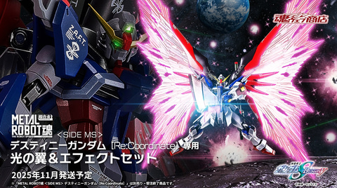 METAL ROBOT魂 デスティニーガンダム ［Re:Coordinate］専用 光の翼