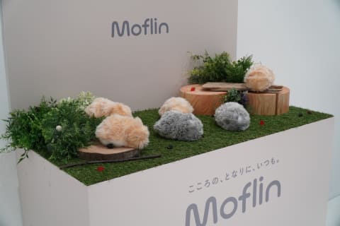 カシオ、400万通りの個性を持つAIペットロボット「モフリン
