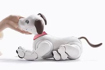 aibo新色「エスプレッソ・ブラック」 特別な4色の瞳 - Impress Watch