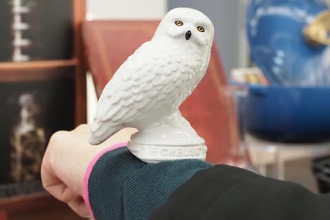 ル・クルーゼとハリー・ポッターがコラボ! 魔法のココット、杖のような