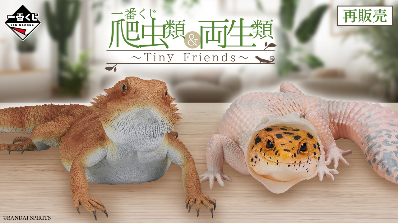 一番くじ 爬虫類＆両生類～Tiny Friends～｜一番くじ倶楽部｜BANDAI