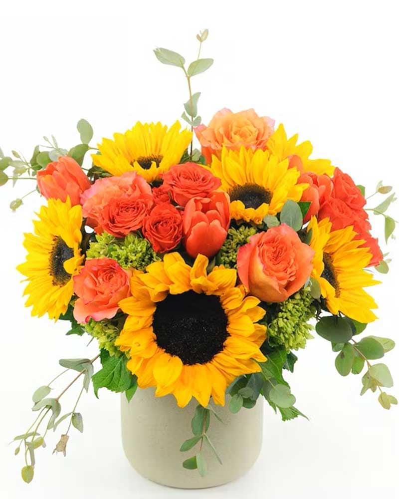 Hello Sunshine Deluxe in Schenectady NY - Frank Gallo & Son Florist