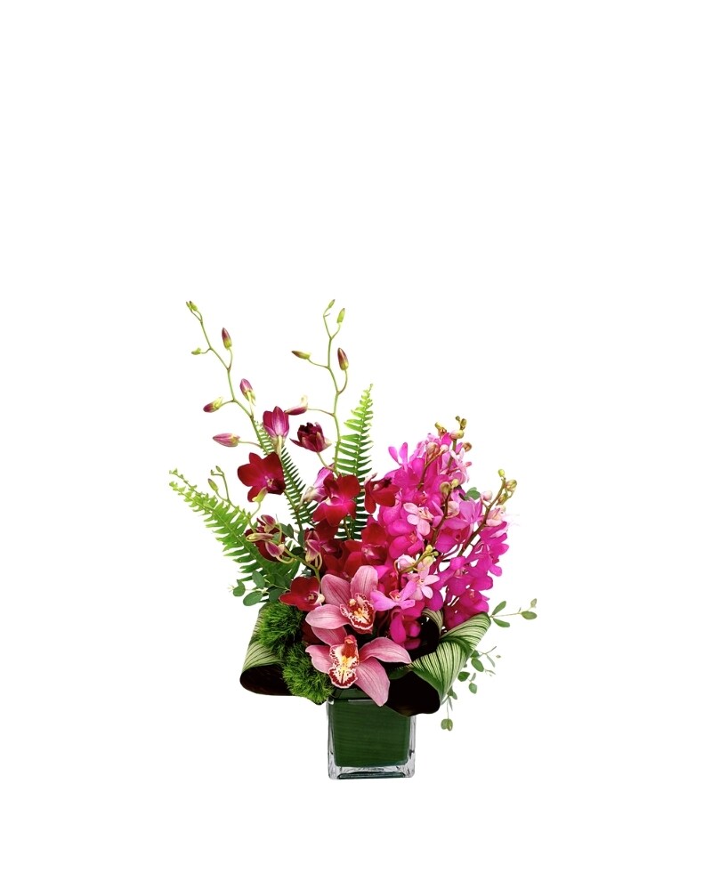 Maui Mokaras in Wellington FL - Nature's Bouquet Florist