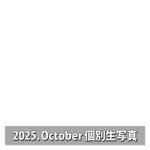 NMB48 OFFICIAL GOODS STORE