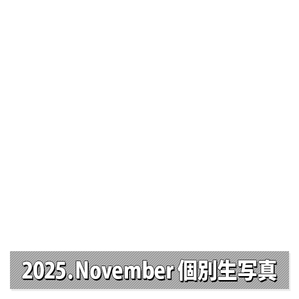 NMB48 OFFICIAL GOODS STORE