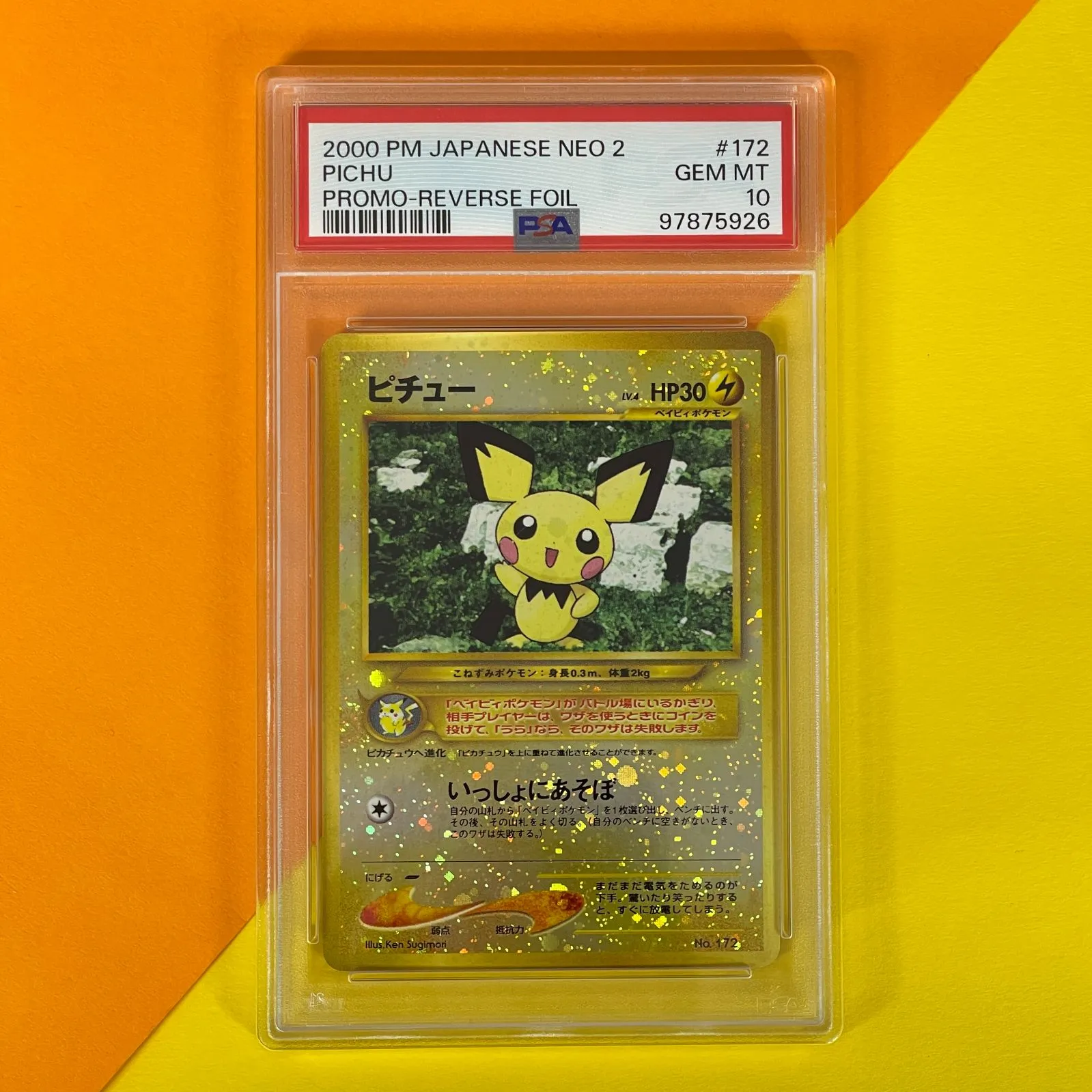 PSA10】ポケモンカード 旧裏 ヒメグマ neo PSA10】ポケモンカード 旧裏