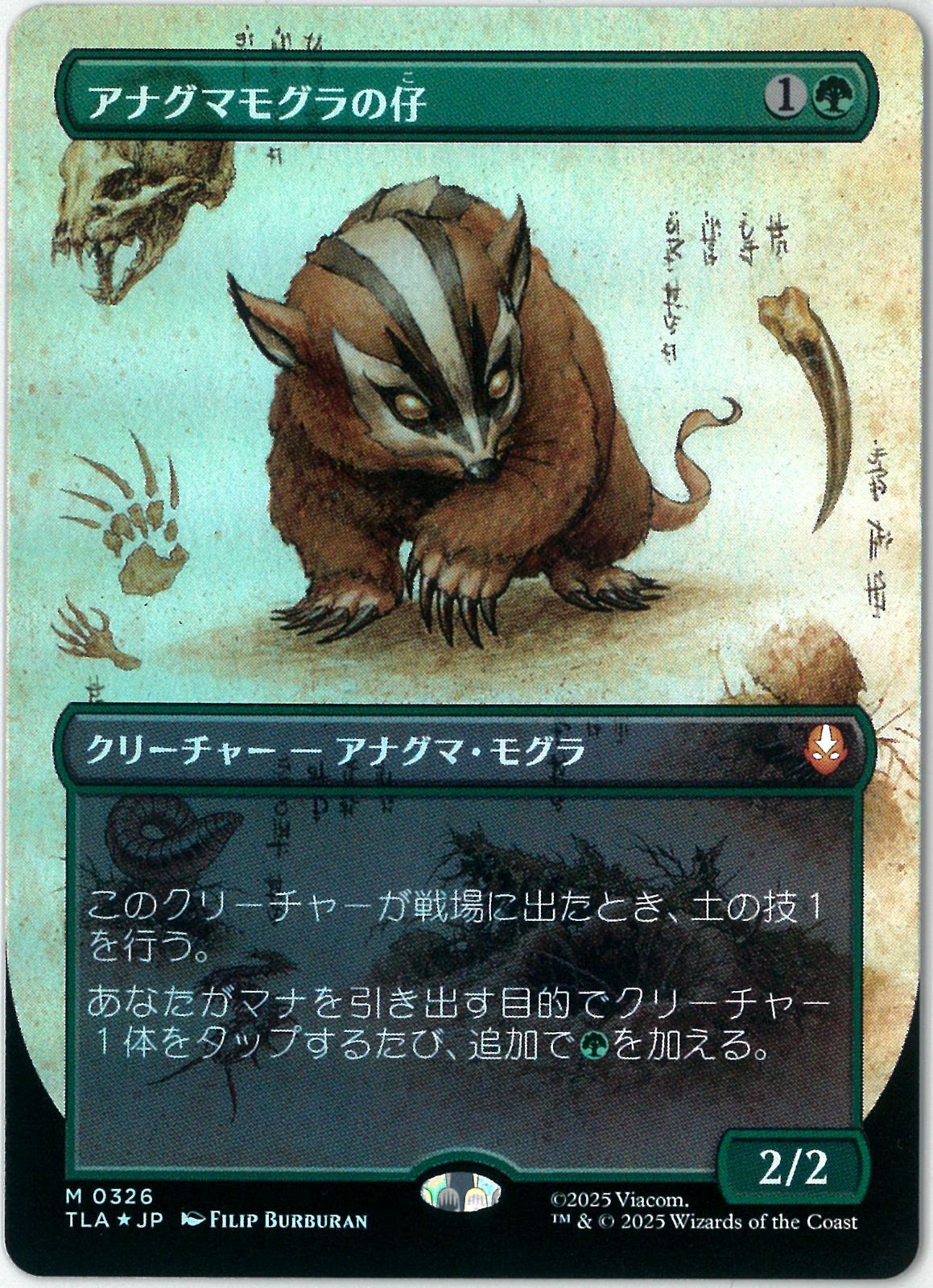 アナグマモグラの仔 英語 ボーダーレス Badgermole Cub MTG アナグマ