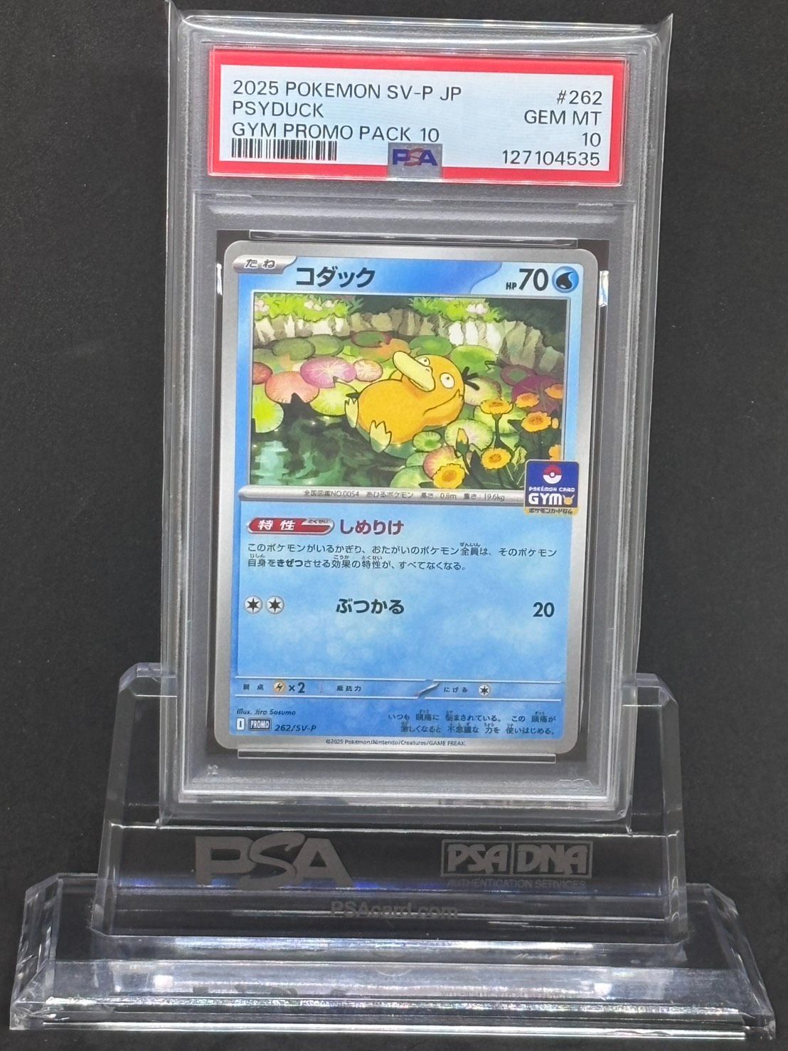 PSA10 連番 コダック プロモ GIM しめりけ ジム 2枚 PSA10 コダック