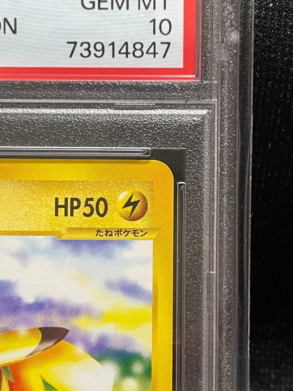 PSA10】ピカチュウ ○ e 第1弾基本拡張パック 016/128 1ED ポケモン
