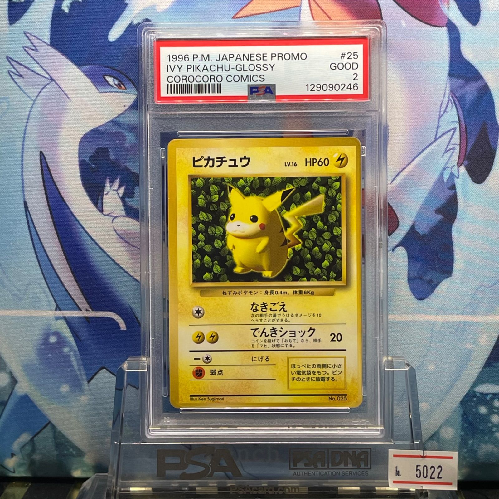 ピカチュウ 旧裏 プロモ ivy コロコロ 96年 世界初 光沢あり PSA5