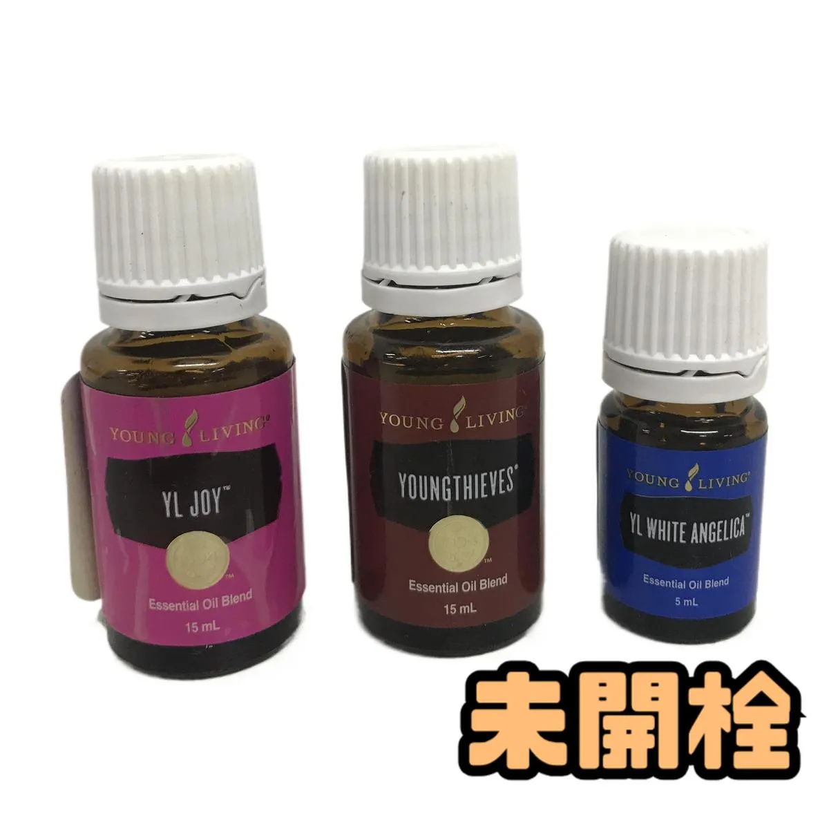 2026年最新】ヤングリヴィング ホワイトアンジェリカの人気アイテム