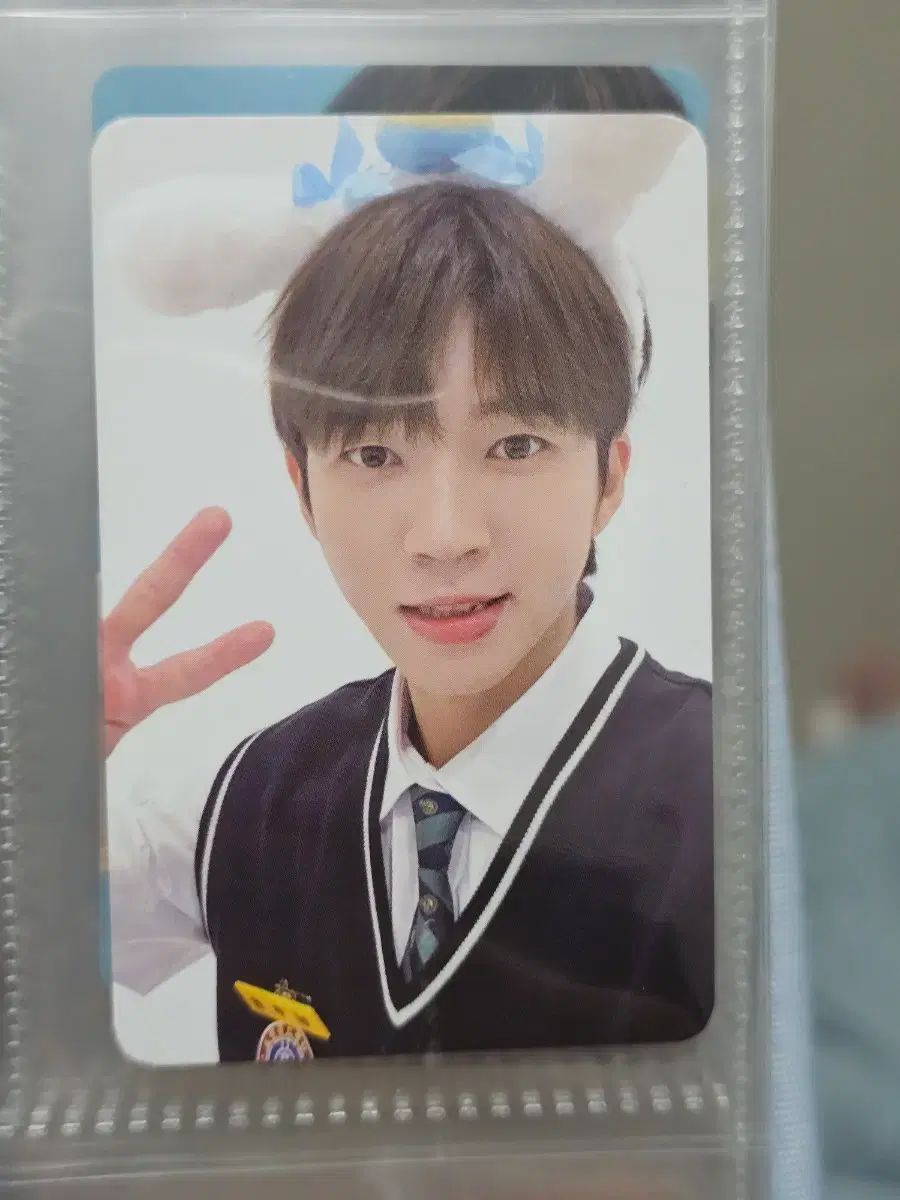 植樹の日5 リング 13号 ツリーリングリング ナム・ウヒョン - メルカリ