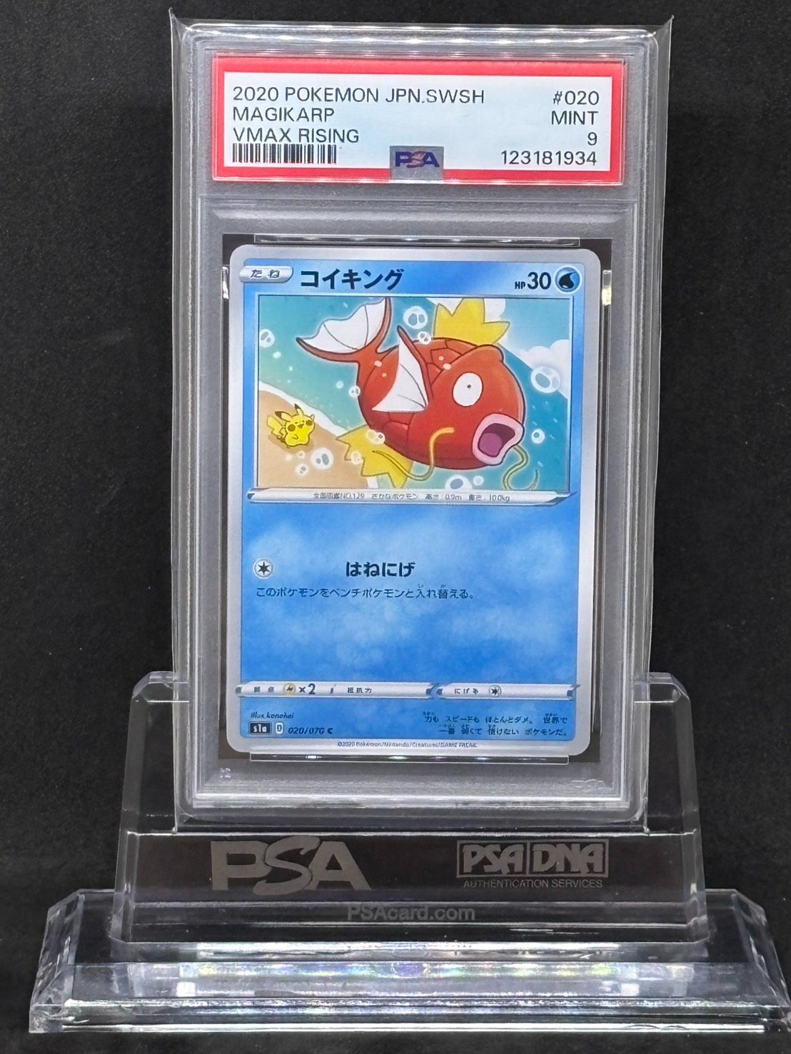 T*i様 【PSA10】 コイキング カナヘイ s1a 020/070 【世界 PSA10