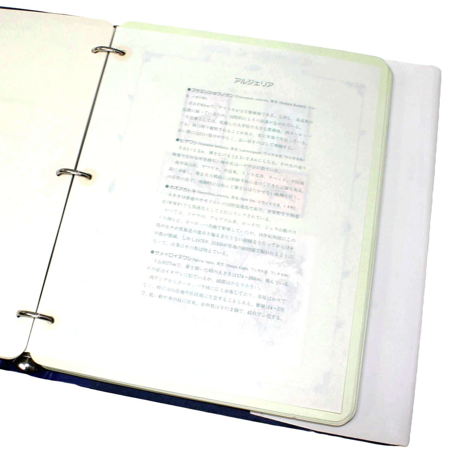 希少】世界の鳥切手コレクション アメリカ/アルジェリア他 専用